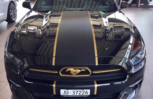 MUSTANG gold edition