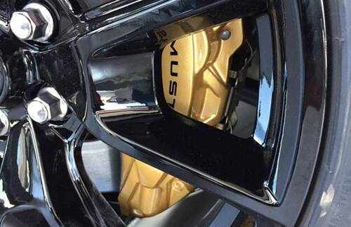 MUSTANG gold edition