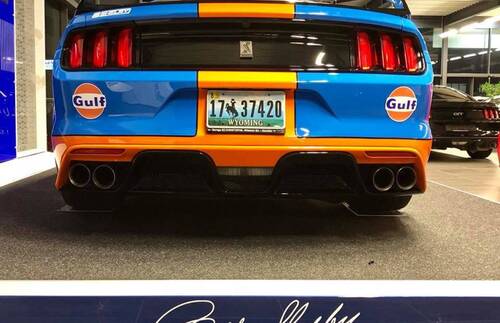 SHELBY gulf edition