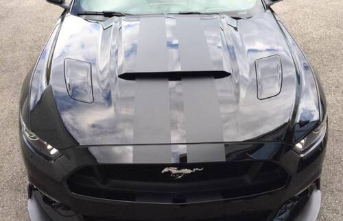 SHELBY black edition