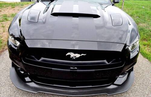 SHELBY black edition