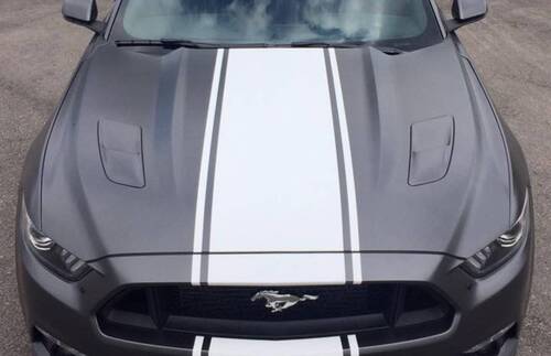 MUSTANG gris mat
