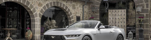 LICENSE BY: Ford