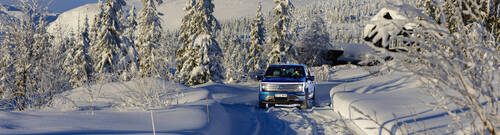 Mustang F-150