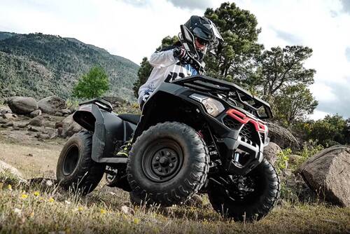 X-Wolf 300