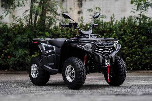 X-Wolf 300